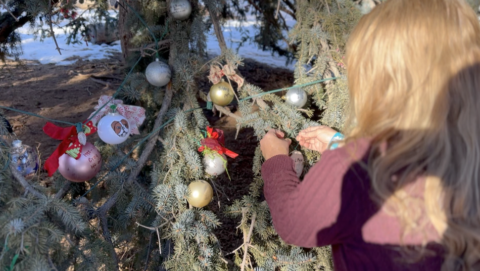 Heartbeat Memory Tree