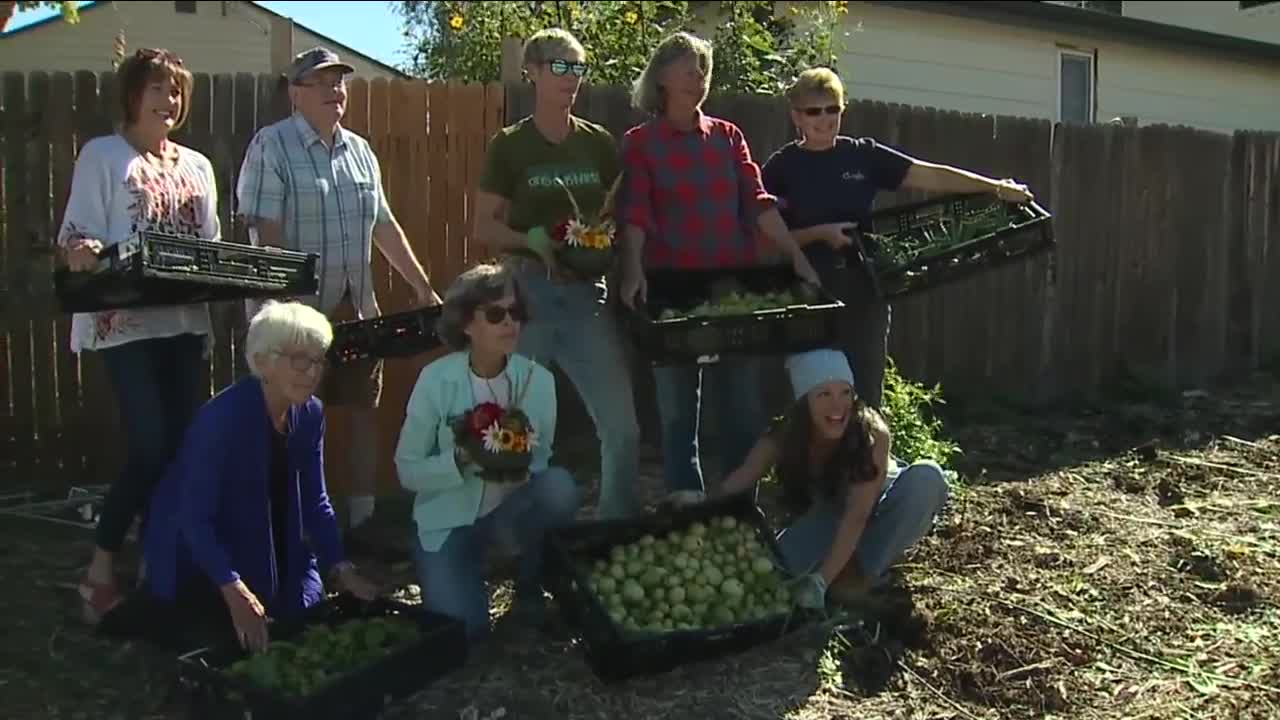 Grow Local Colorado