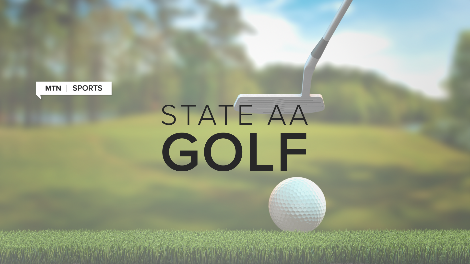 State AA golf