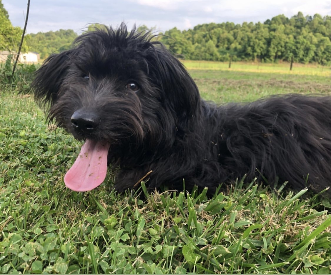 bella2.jpeg