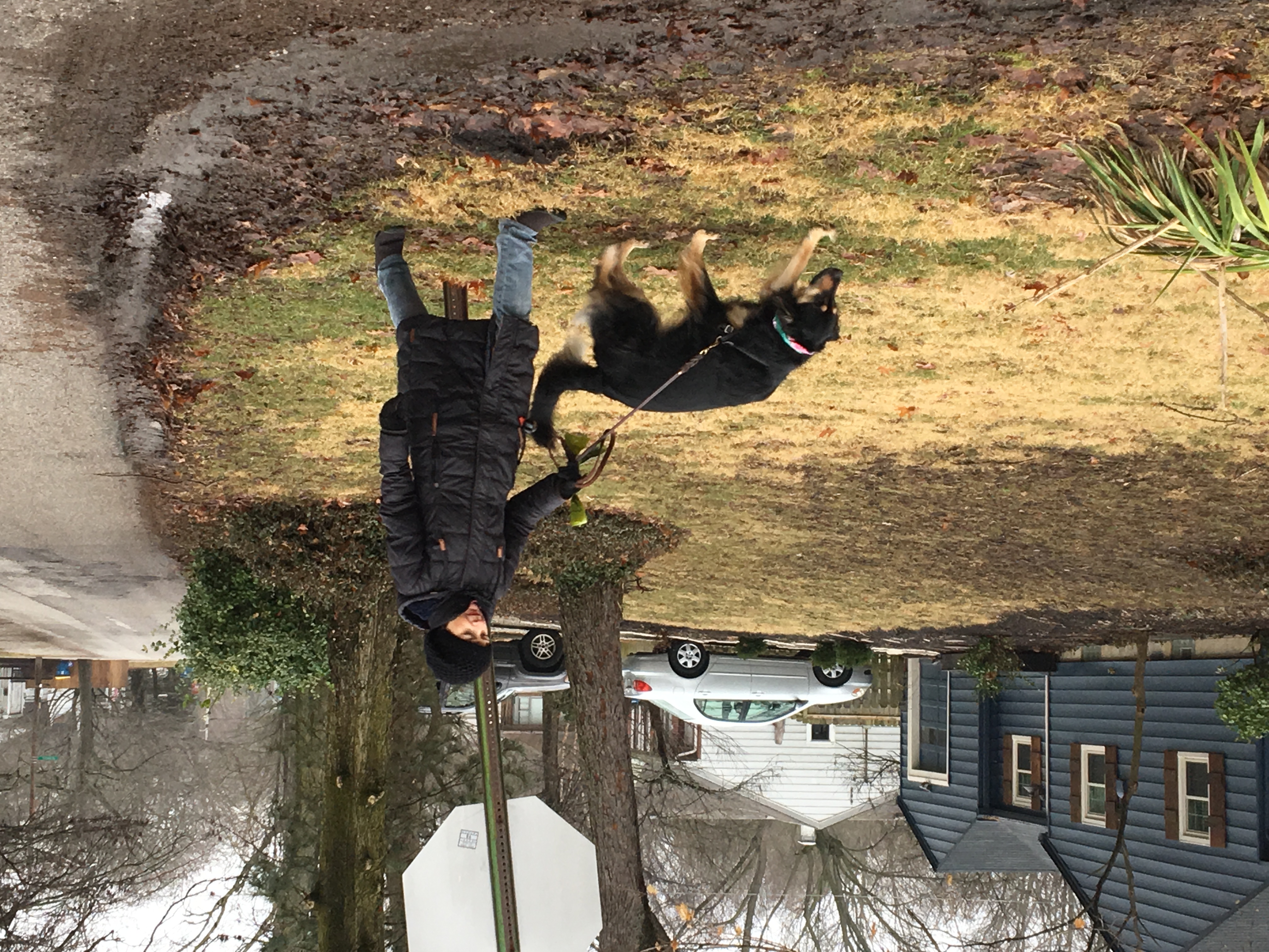 Hiring Hoosiers - Wag.jpeg