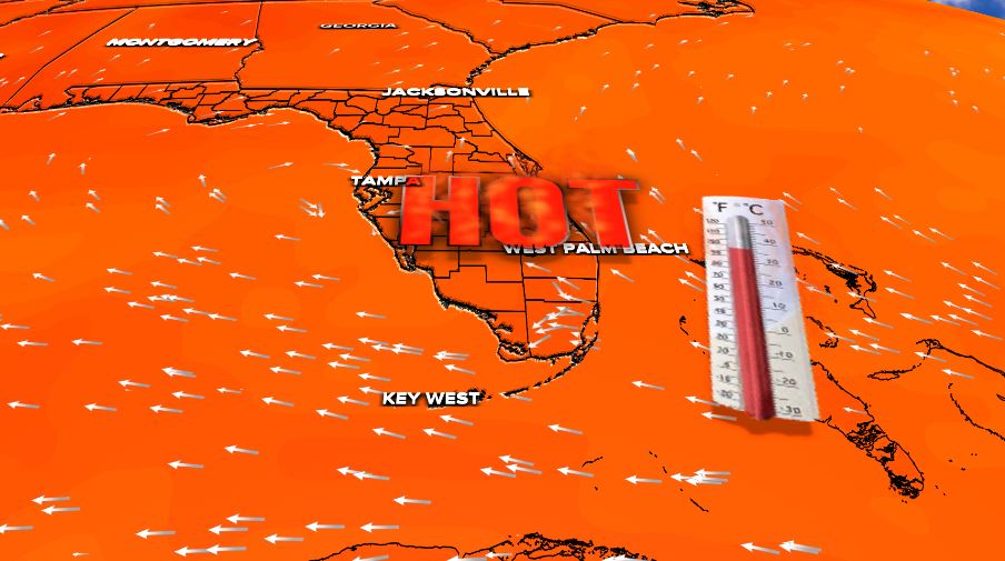 Hot week ahead 