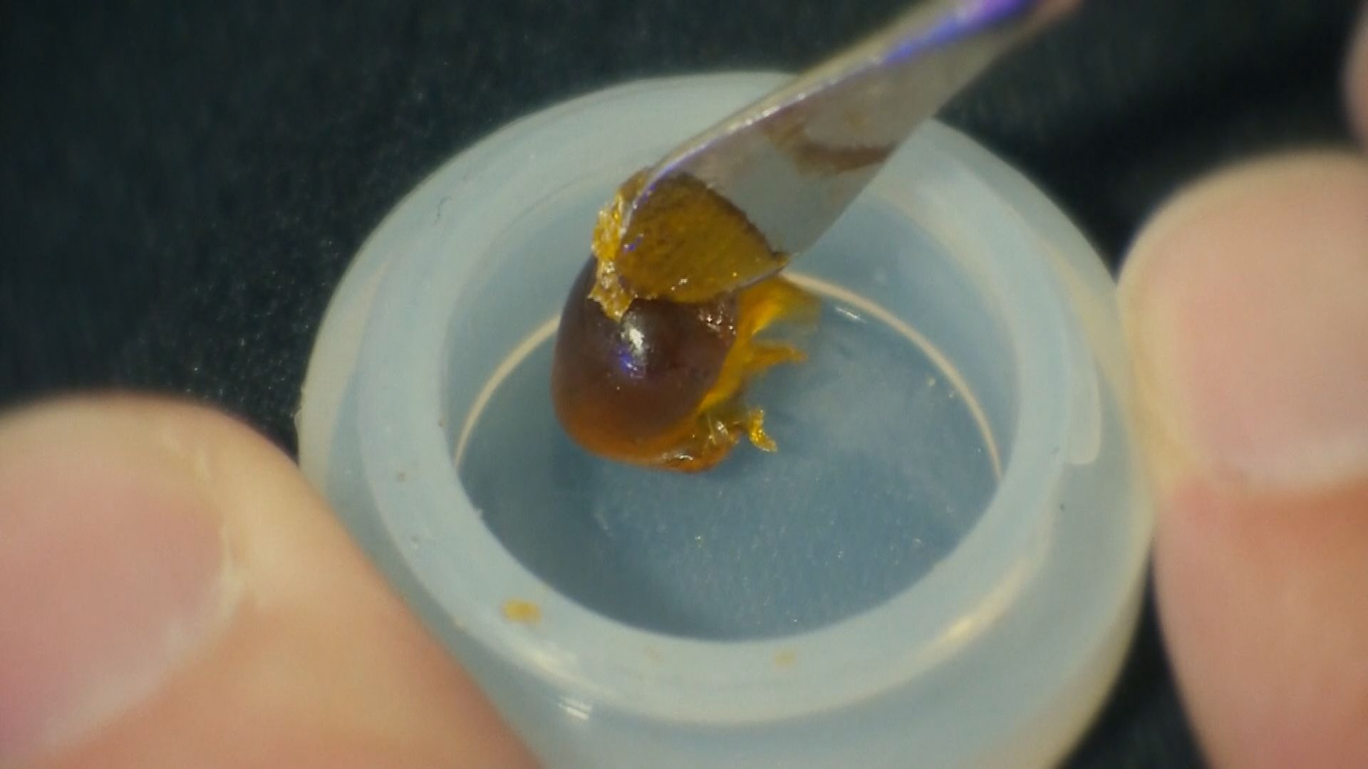 Colorado THC concentrates could be subject to stricter regulations if bill is passed