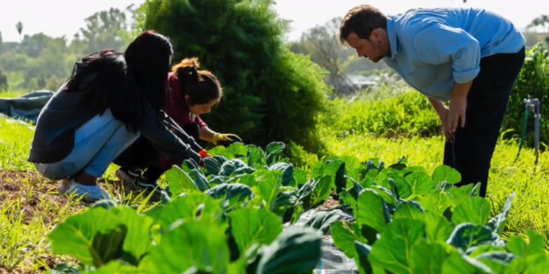 Garden Donations.png