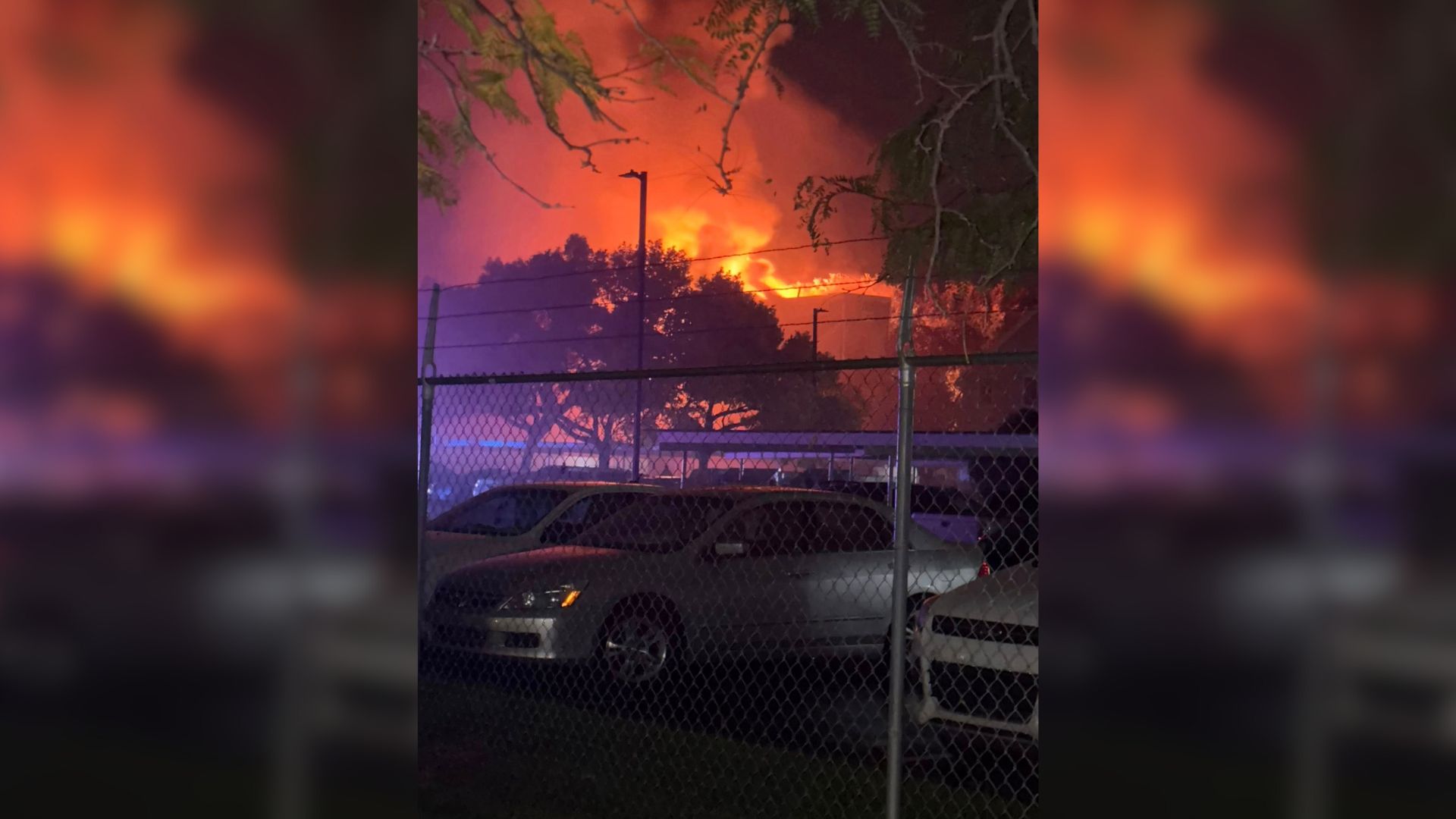 Michael Thumbnails (2).jpg