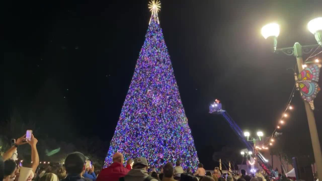 Delray Beach Christmas tree on Dec. 3, 2024