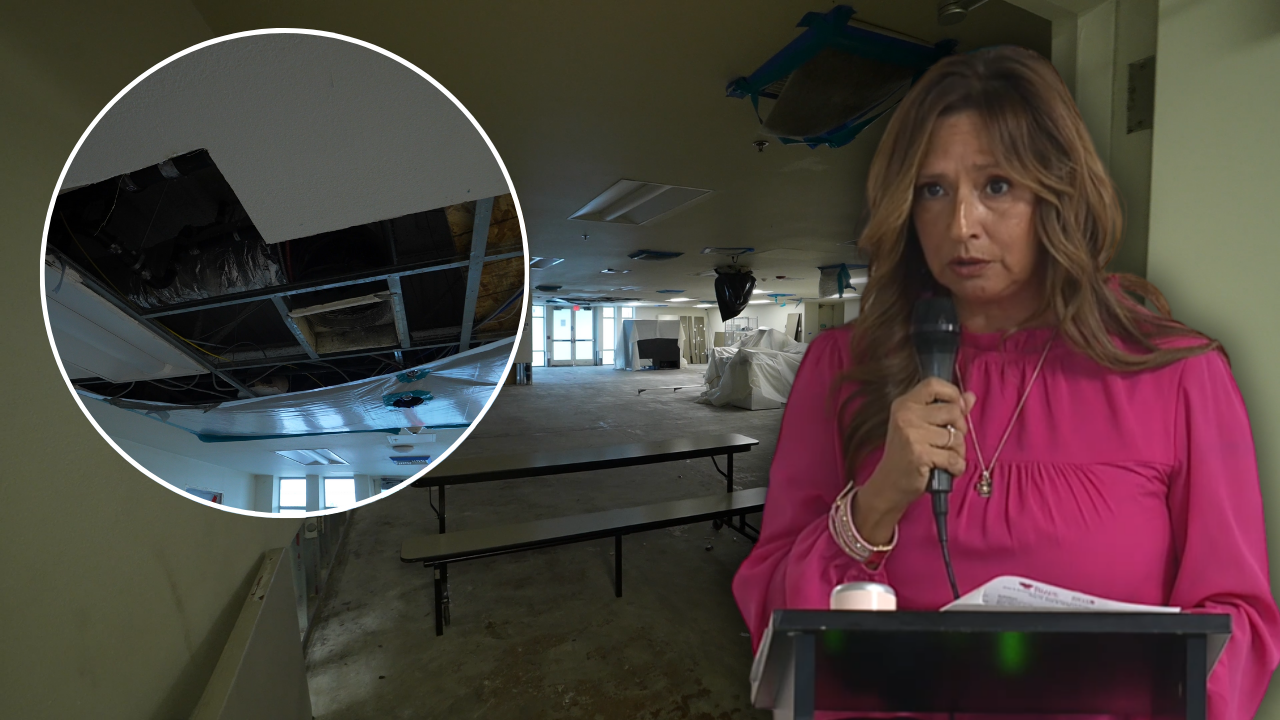 Shade Tree Water Damage