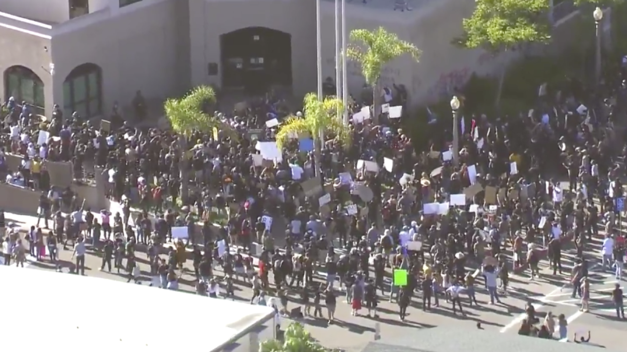 La Mesa protests May 30