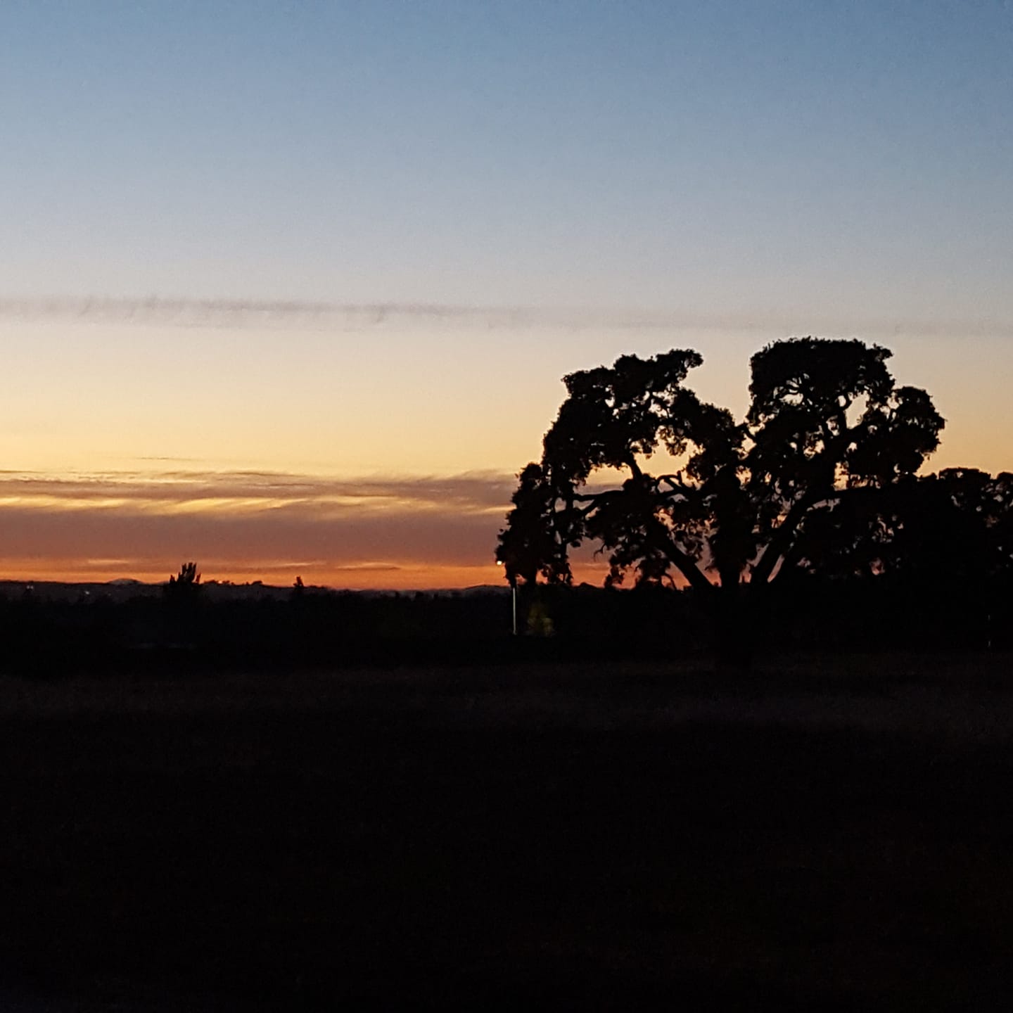 Paso Robles night