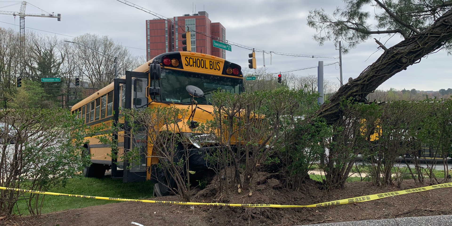 bus2.jpg