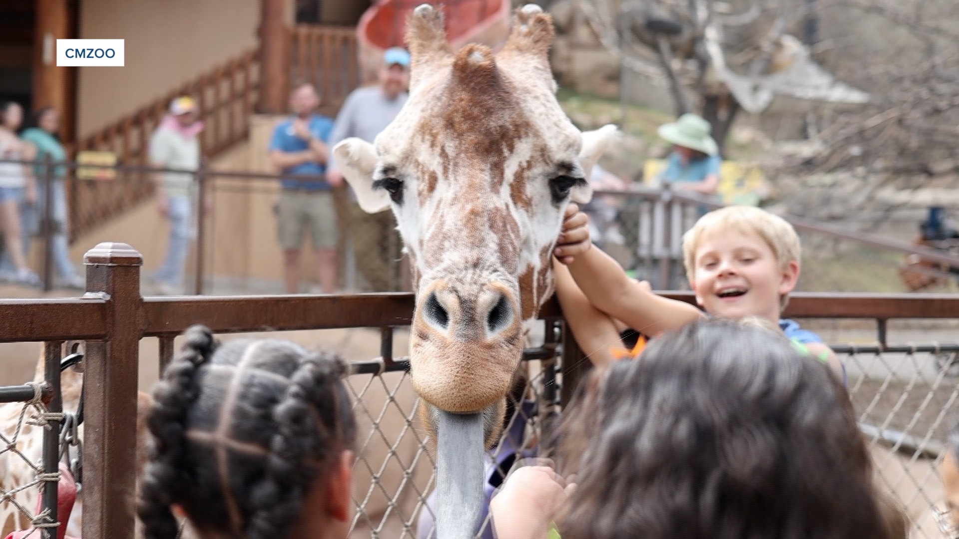 Zoo membership