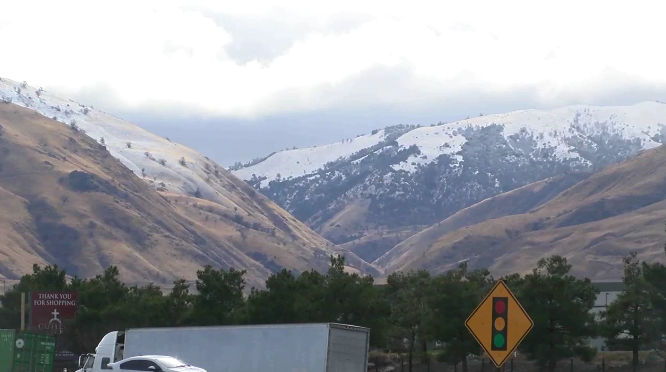 Grapevine Snow