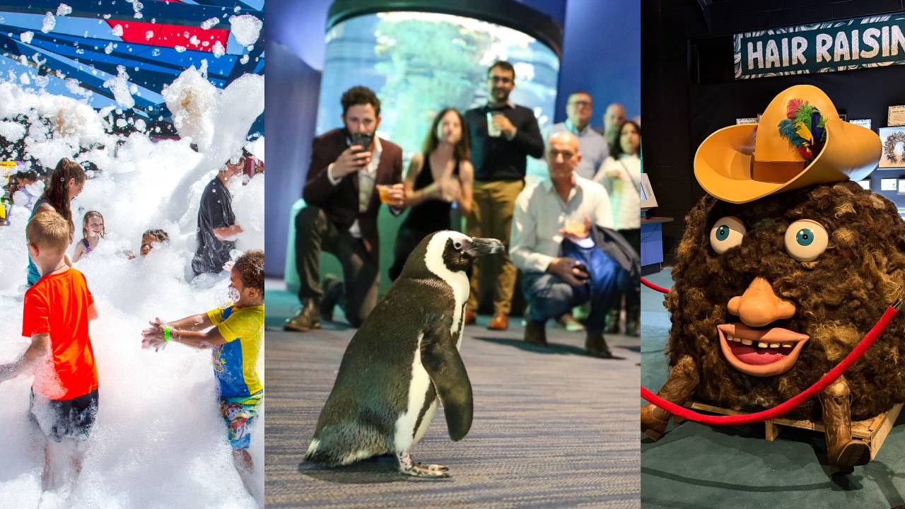 Summer events and new attractions at the Arizona Boardwalk for the whole family. 