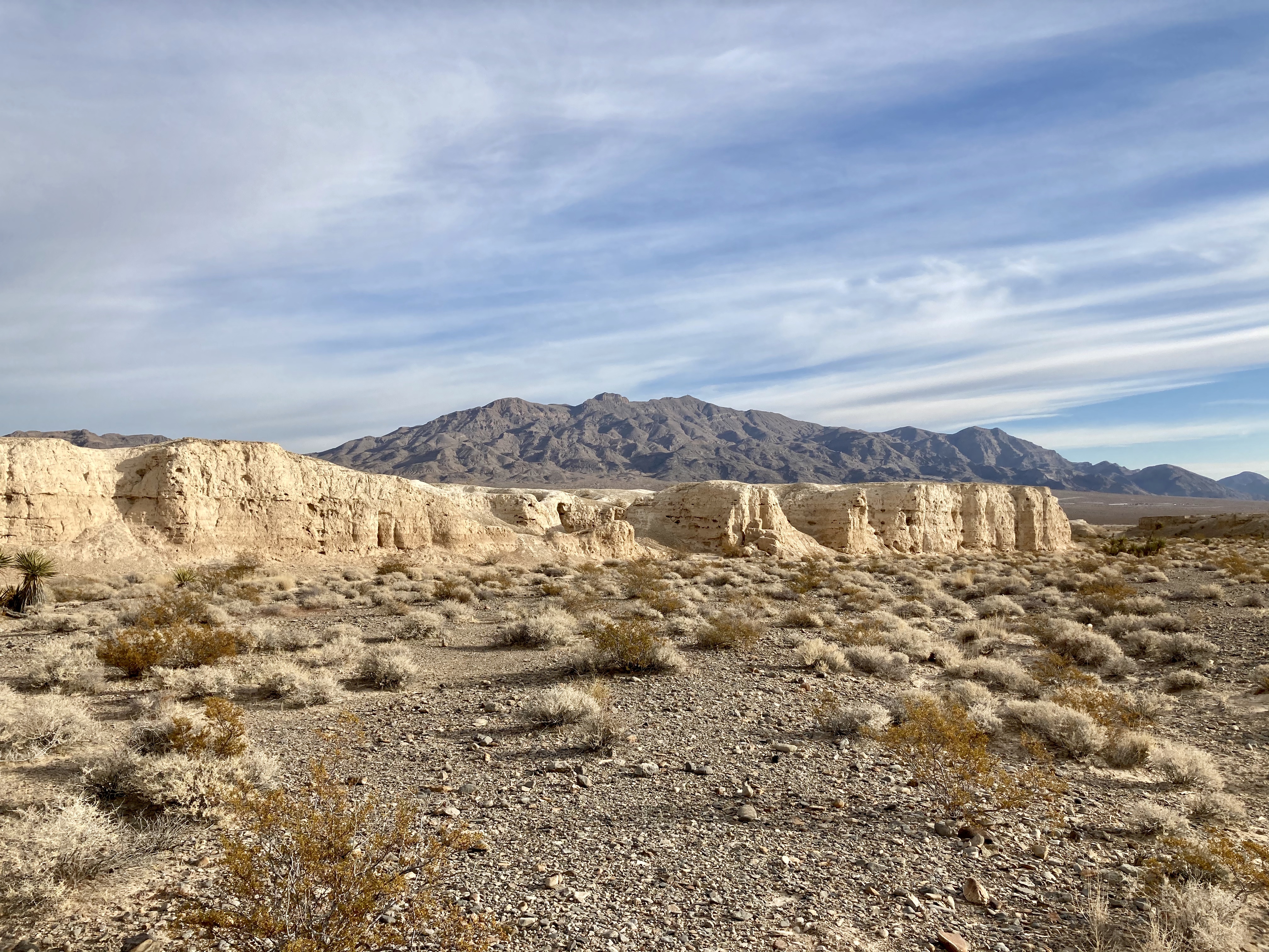 Tule Springs Fossil Beds National Monument