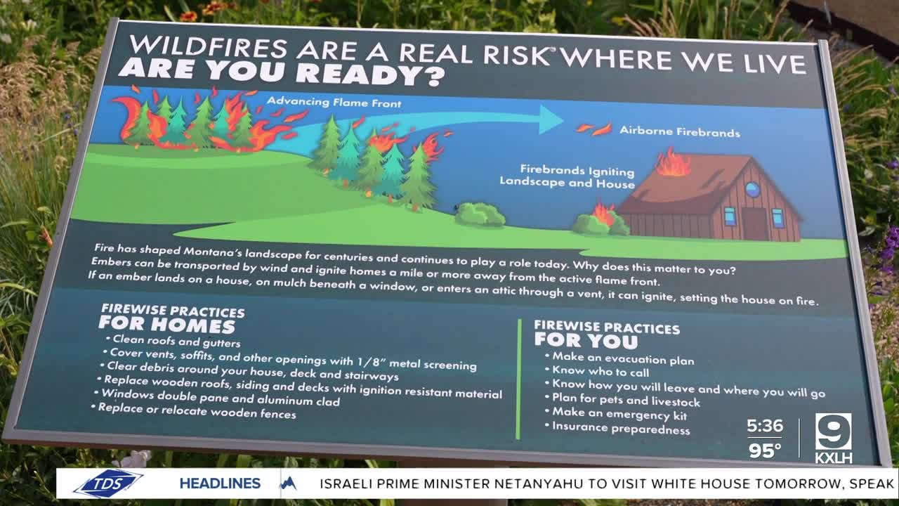 Poster image (1).jpg