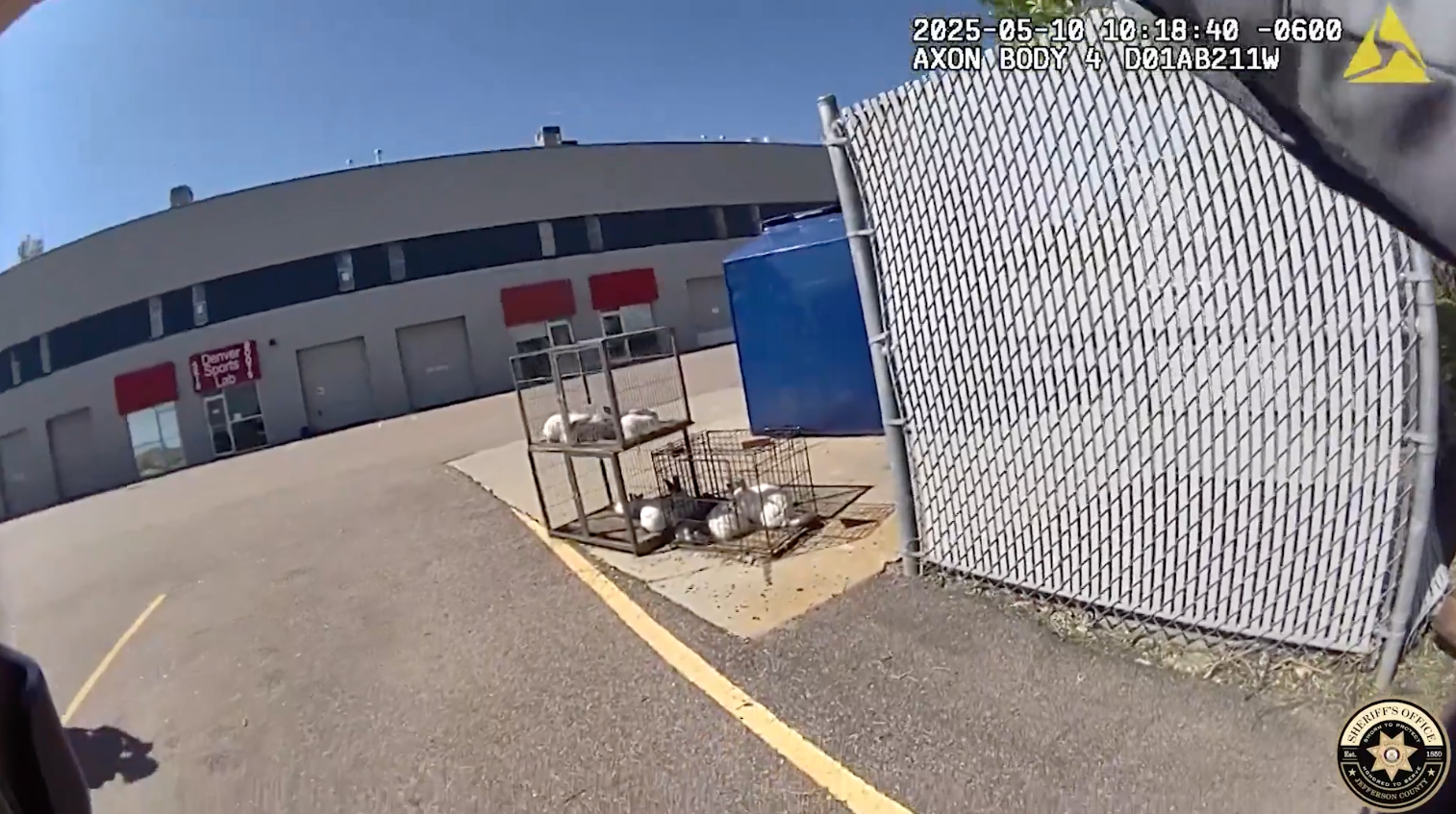 abandoned bunnies_may 30 2025.png