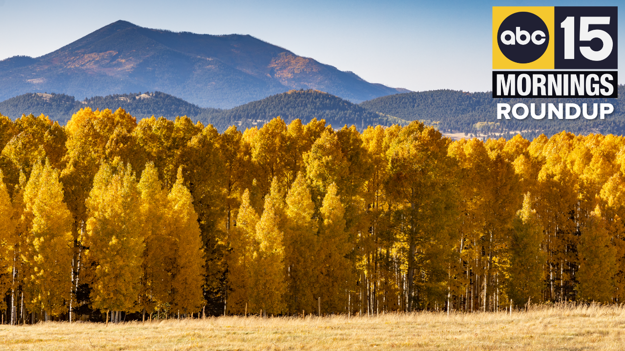 Fall AM Roundup added 10-4-25