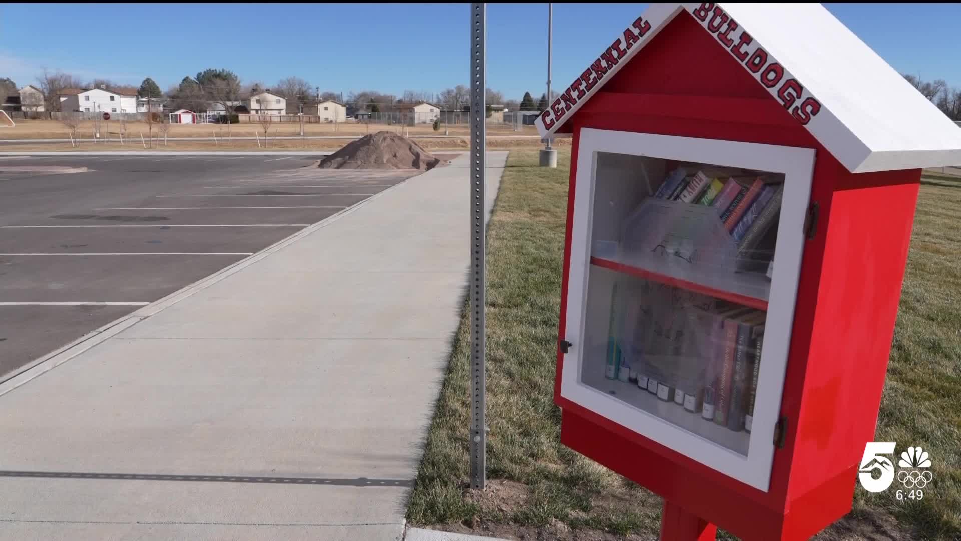 Mini Library