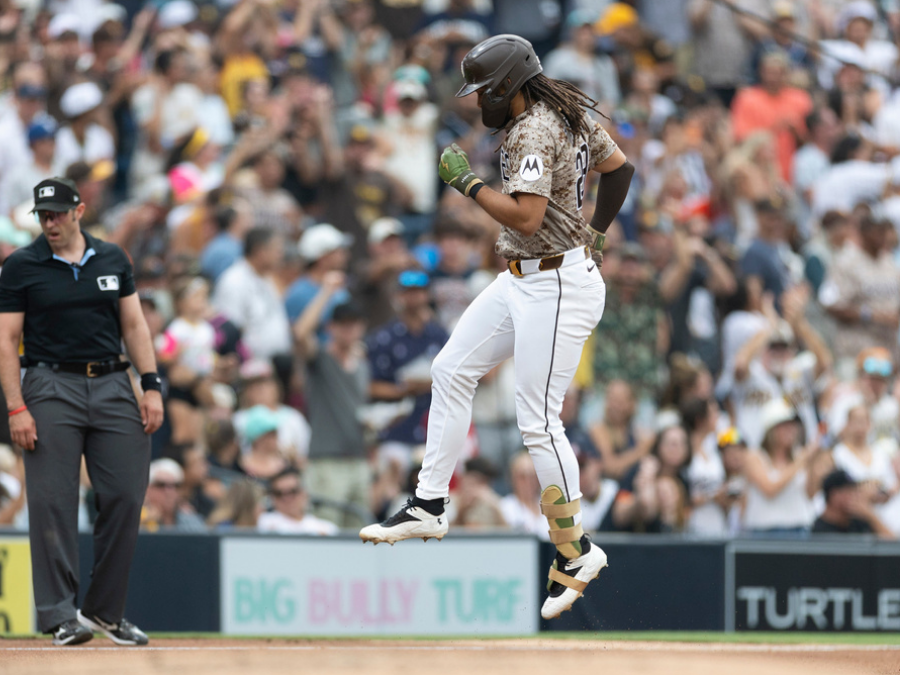 tatis_homer_081026_ap.png