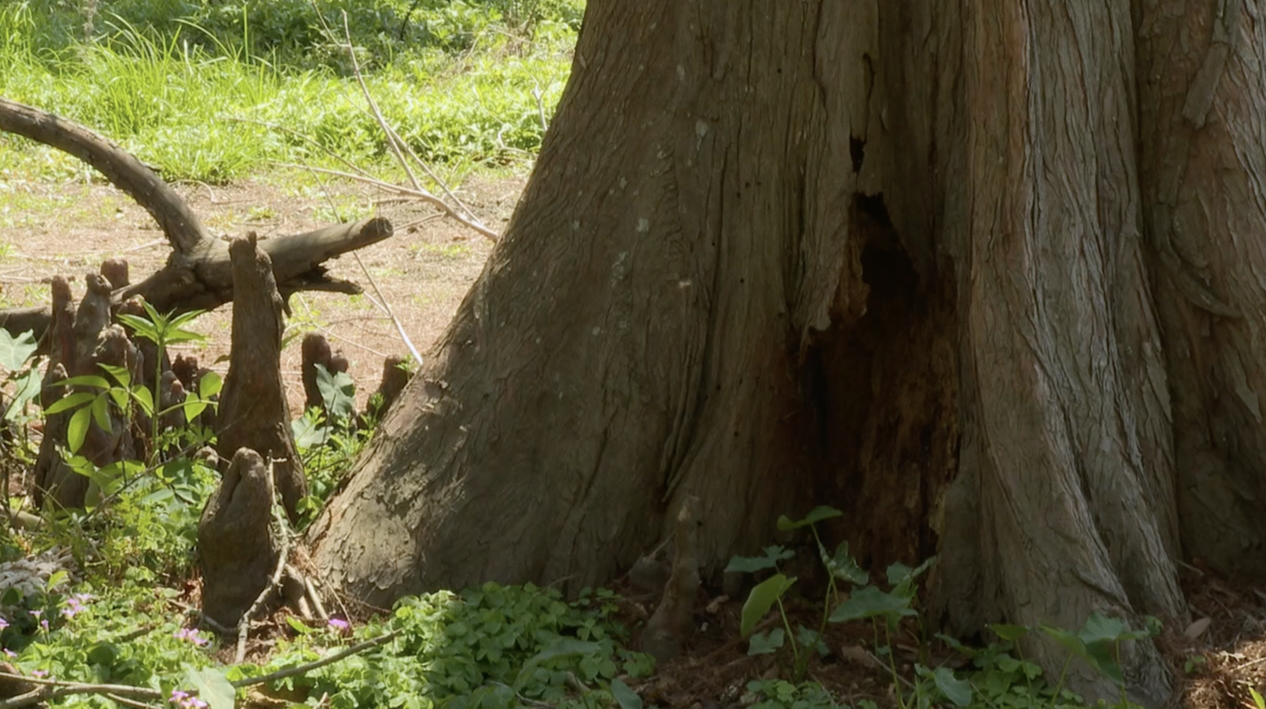 Drought conditions continue to worsen
