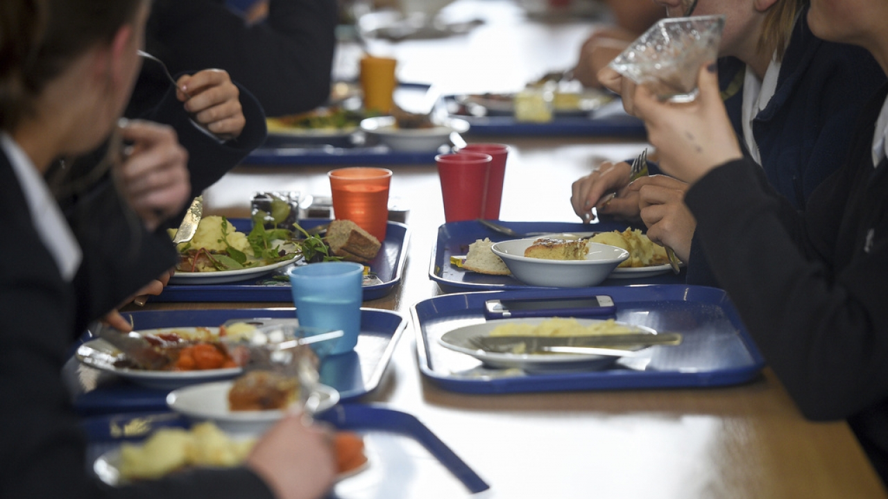 School-aged children eat lunch in a school cafeteria.