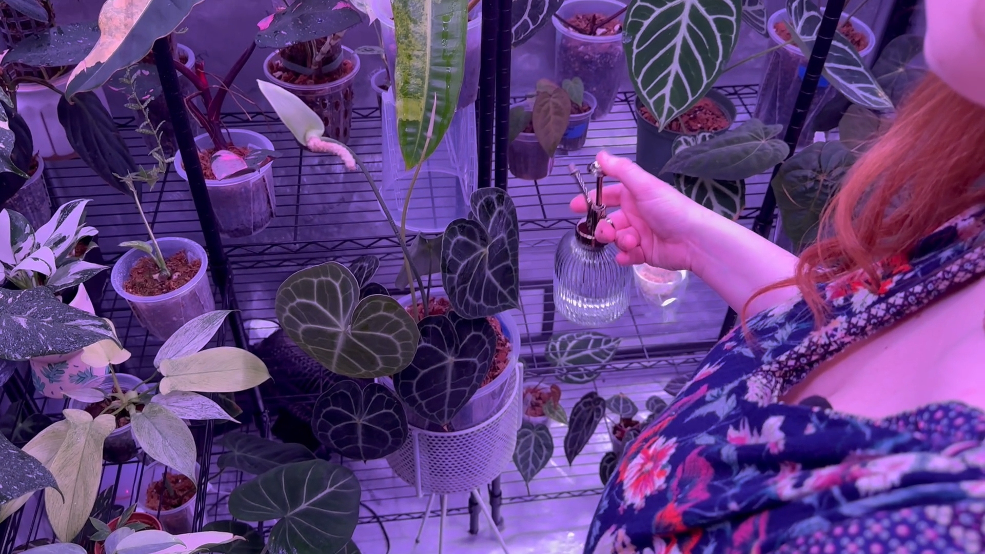 'Bloomed into a passion': 21-year-old woman starts rare plant business in Billings
