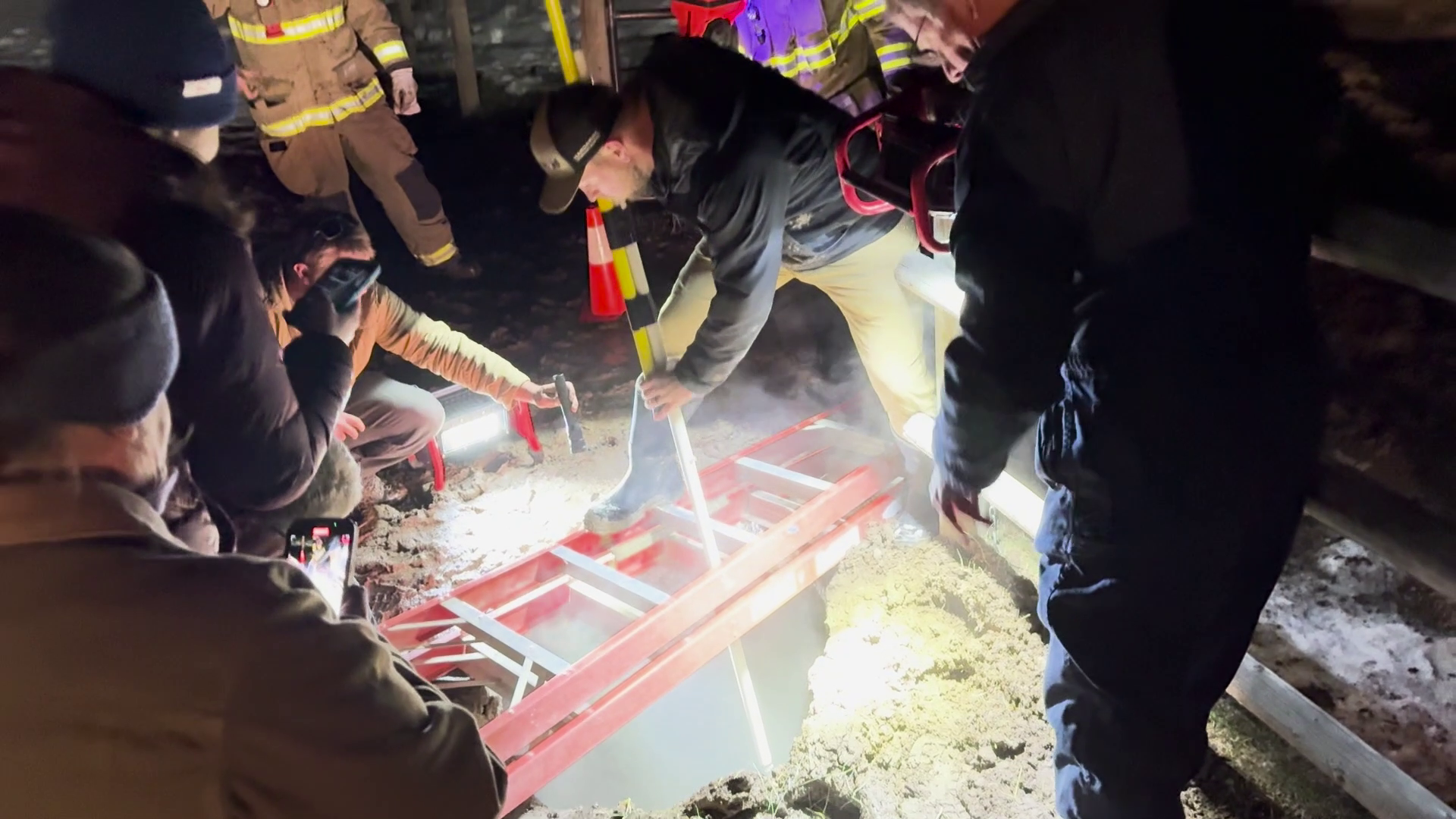 Saving Ziggy: dramatic rescue after horse falls into sinkhole