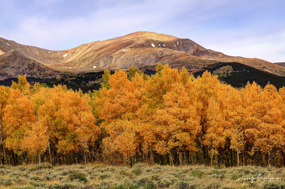 Mount Elbert_Jennifer Brown-Rogowski