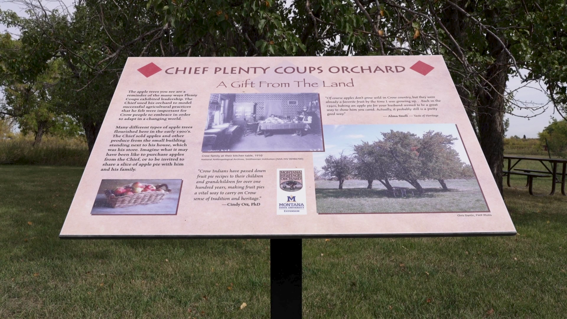 Chief Plenty Coups Apple Orchard