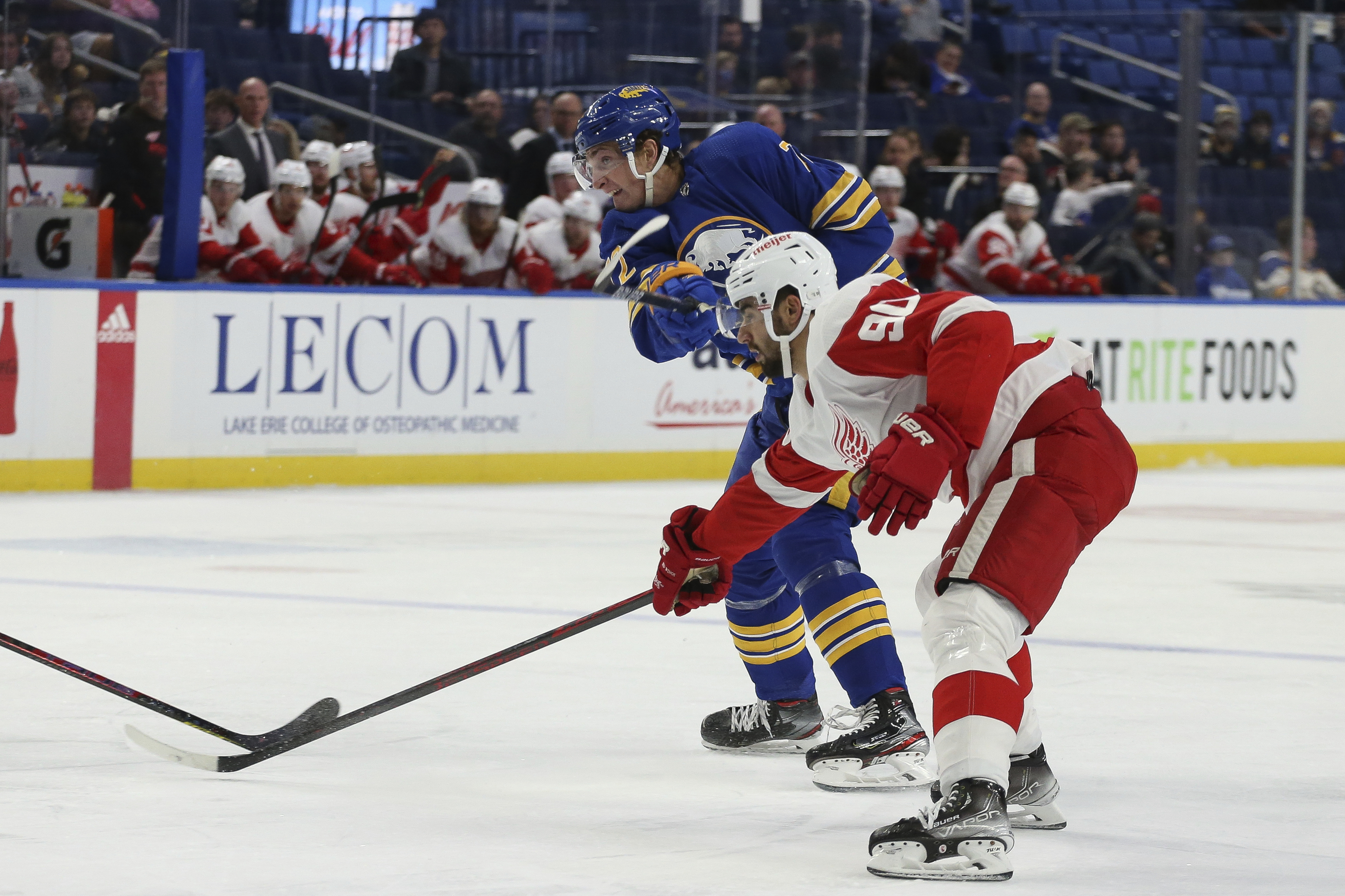 FILE Joe Veleno Red Wings Sabres Hockey