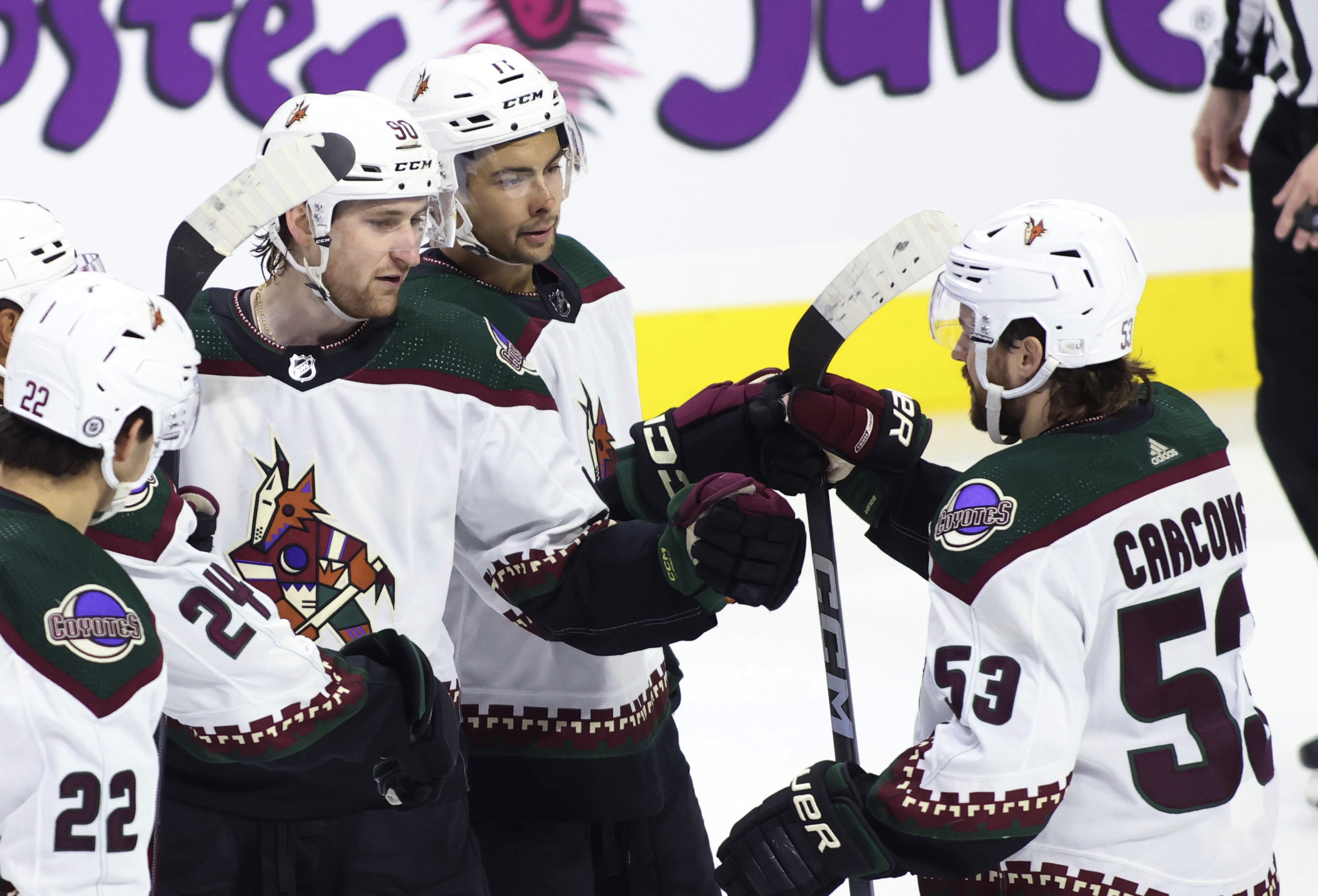 Coyotes Senators Hockey