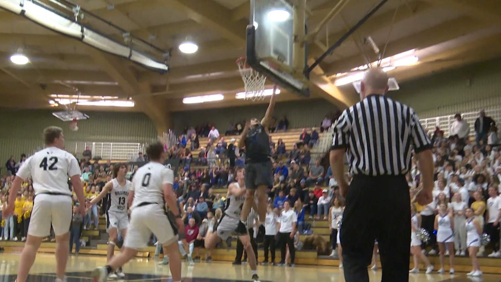 Payton Sanders Skyview.png