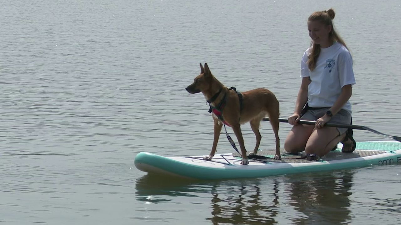 Madie Sanford, owner of Bark 4 Joy