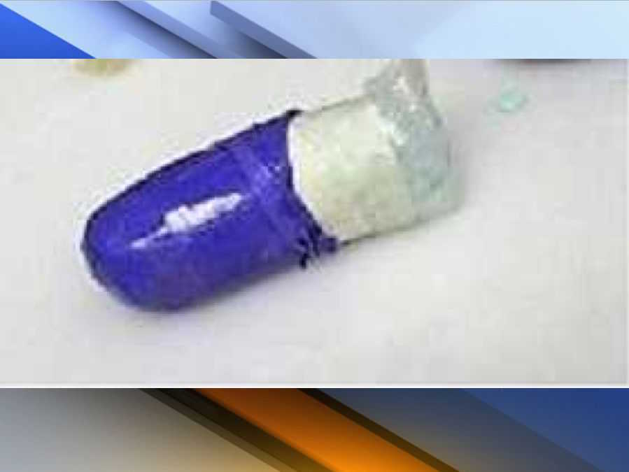 KNXV Fentanyl Smuggling Arrest.jpeg