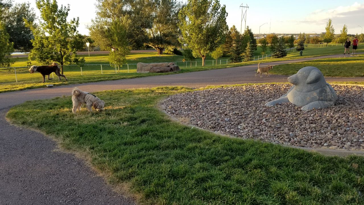 Pacific Steel & Recycling Trailside Dog Park
