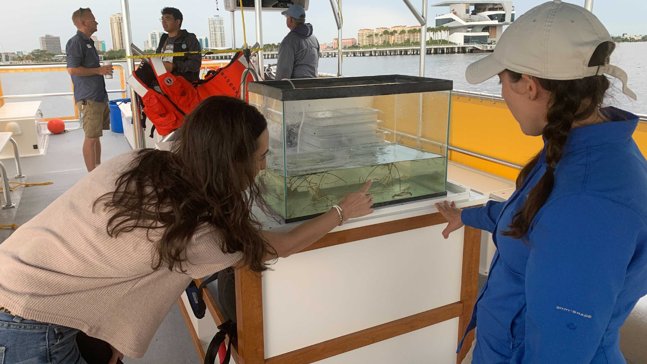 St. Pete Discovery Center Eco-Vessel tour.png