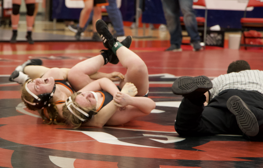GWrestle.png