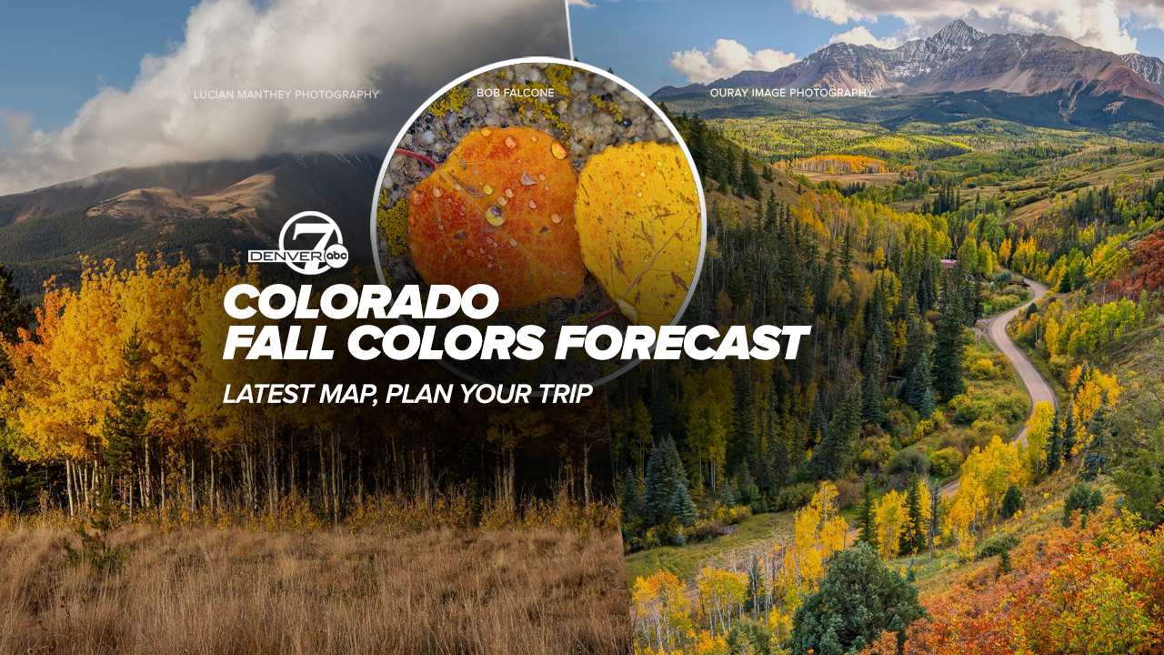 2025 fall colors colorado forecast.png