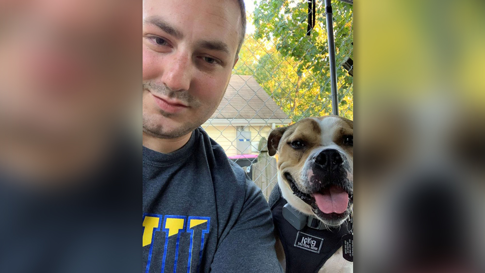 pit bull arson dog.jpg