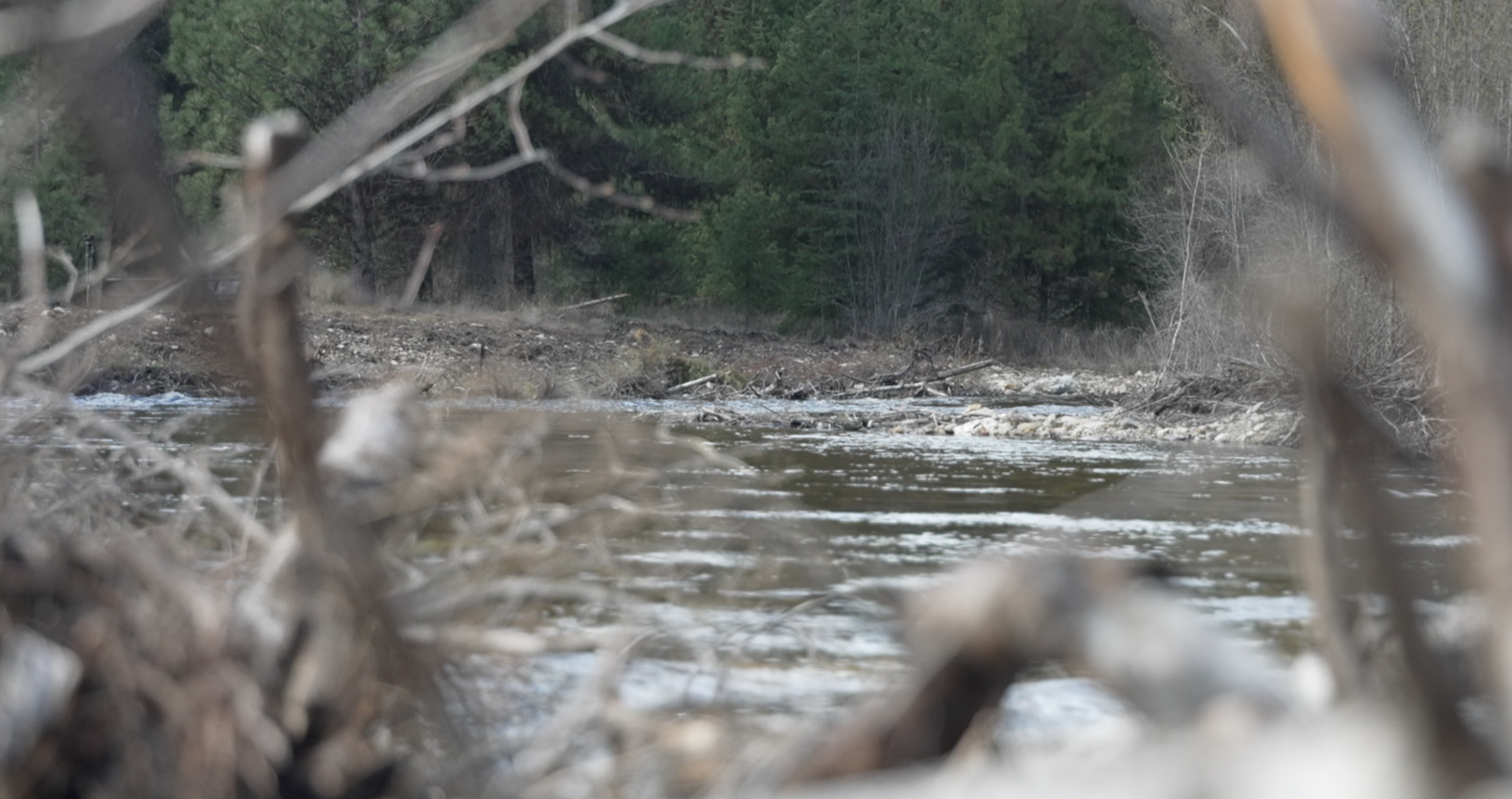 Lolo Creek Restoration Earl Tennant Project