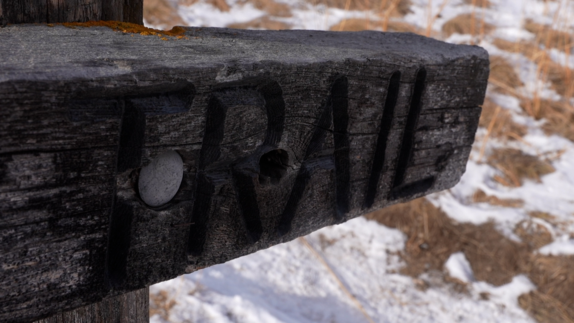 trail.jpg