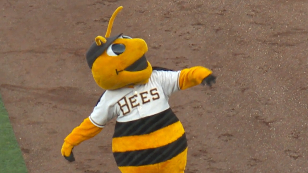 Bees Mascot.jpg