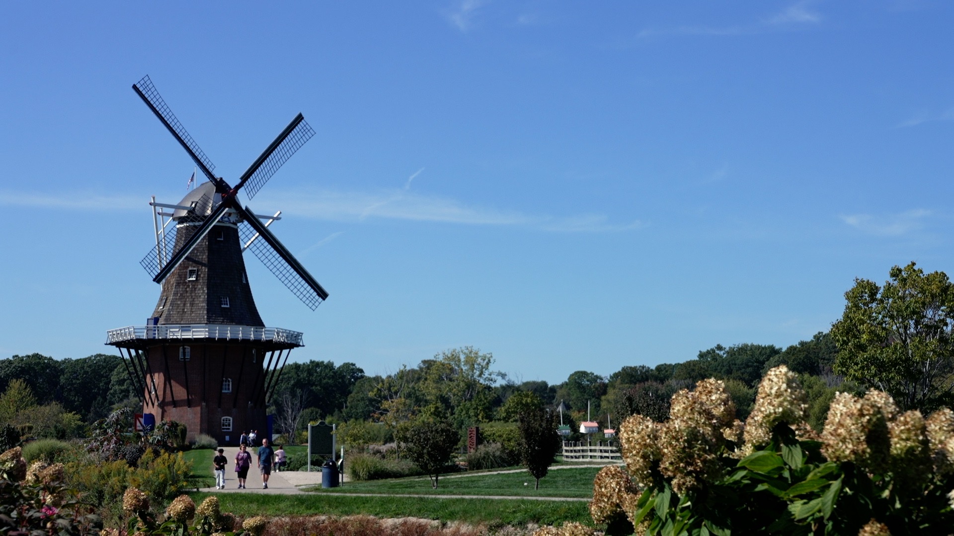 WINDMILL ISLAND GARDENS.jpg