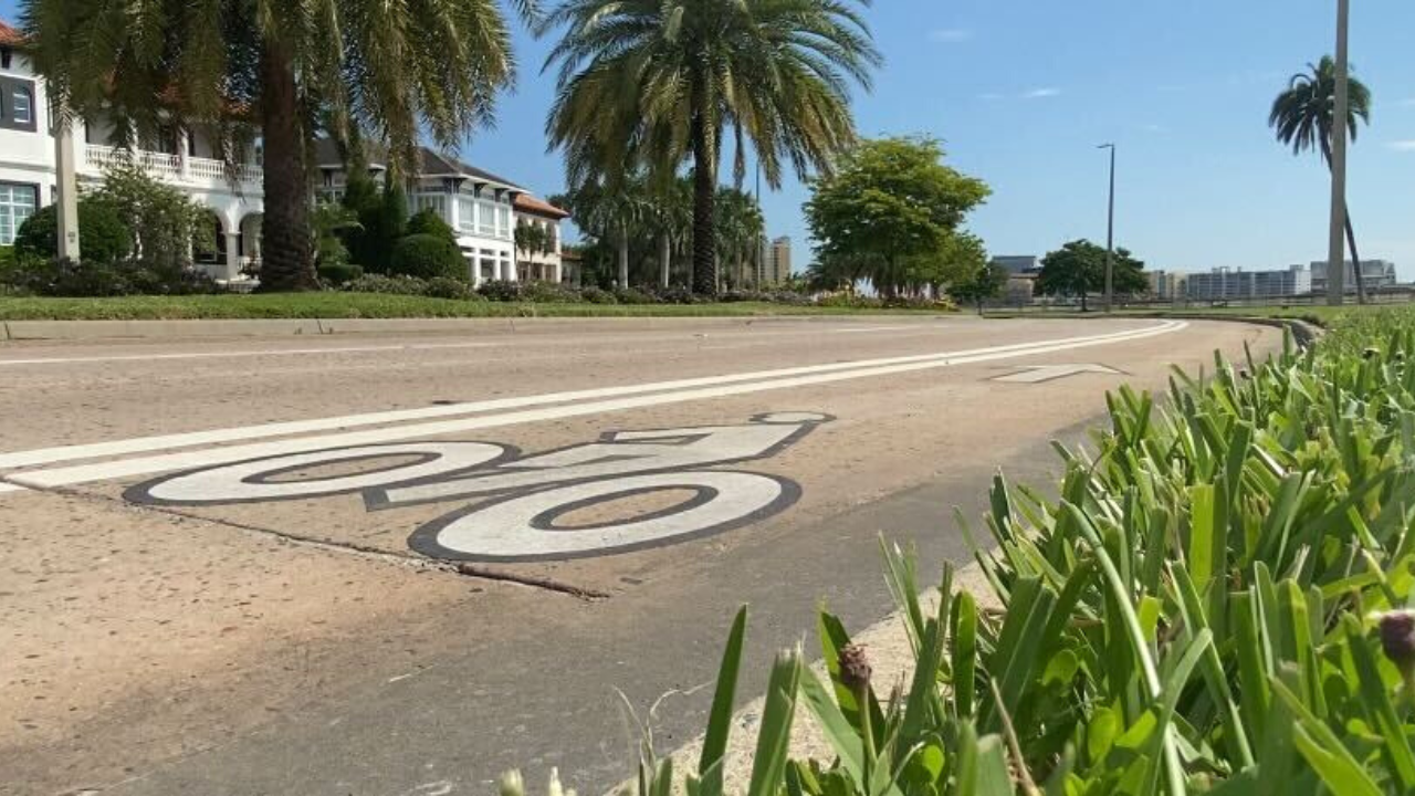 bicycle lane WFTS LYDIA.png