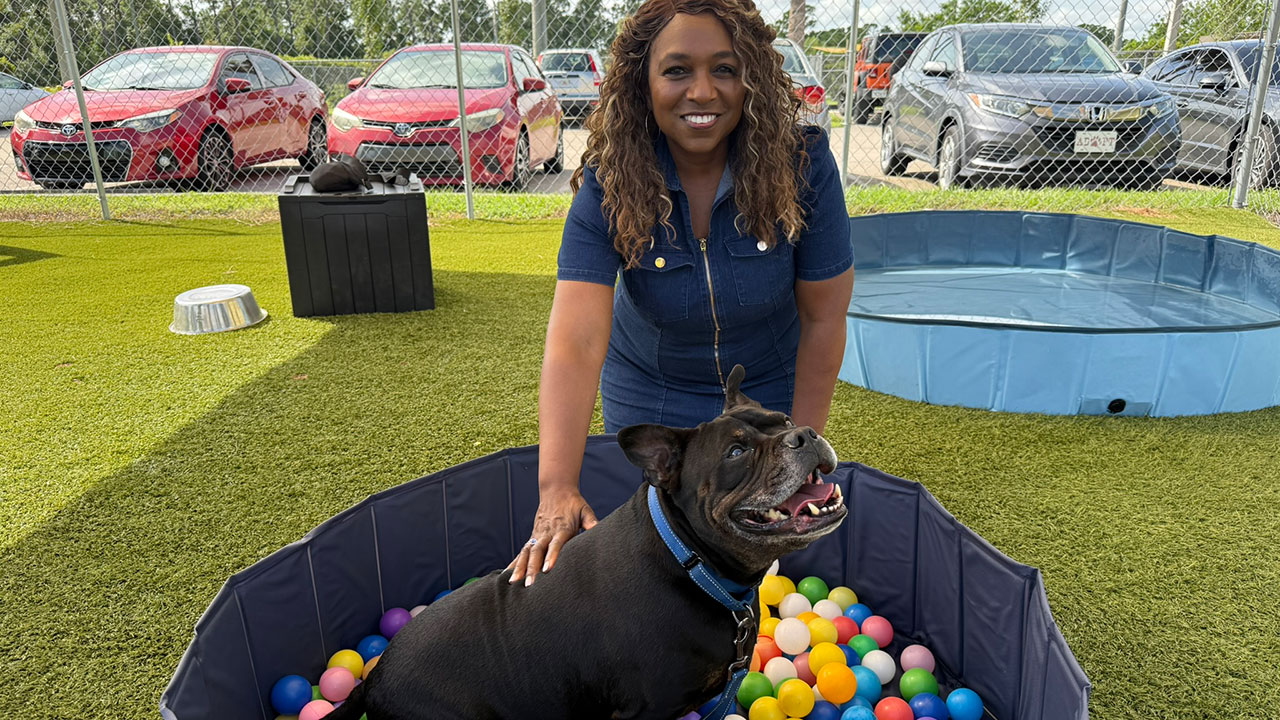 Underdogs Sept. 15, 2025