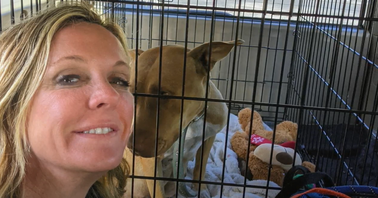 Tully's Tails Lea Haverstock