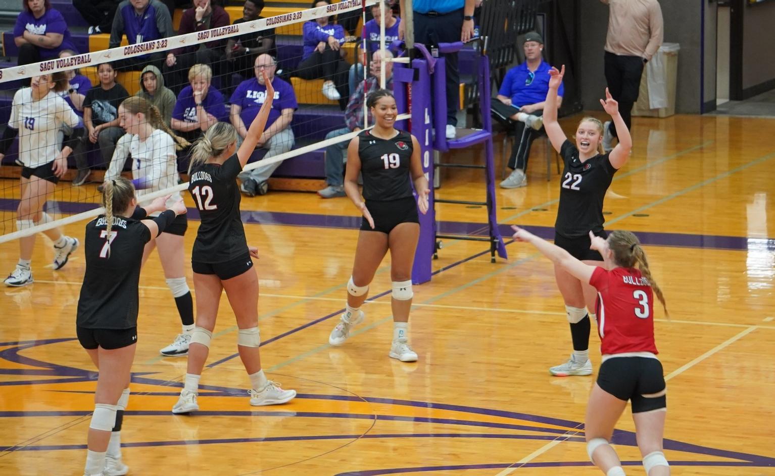 Montana Western volleyball