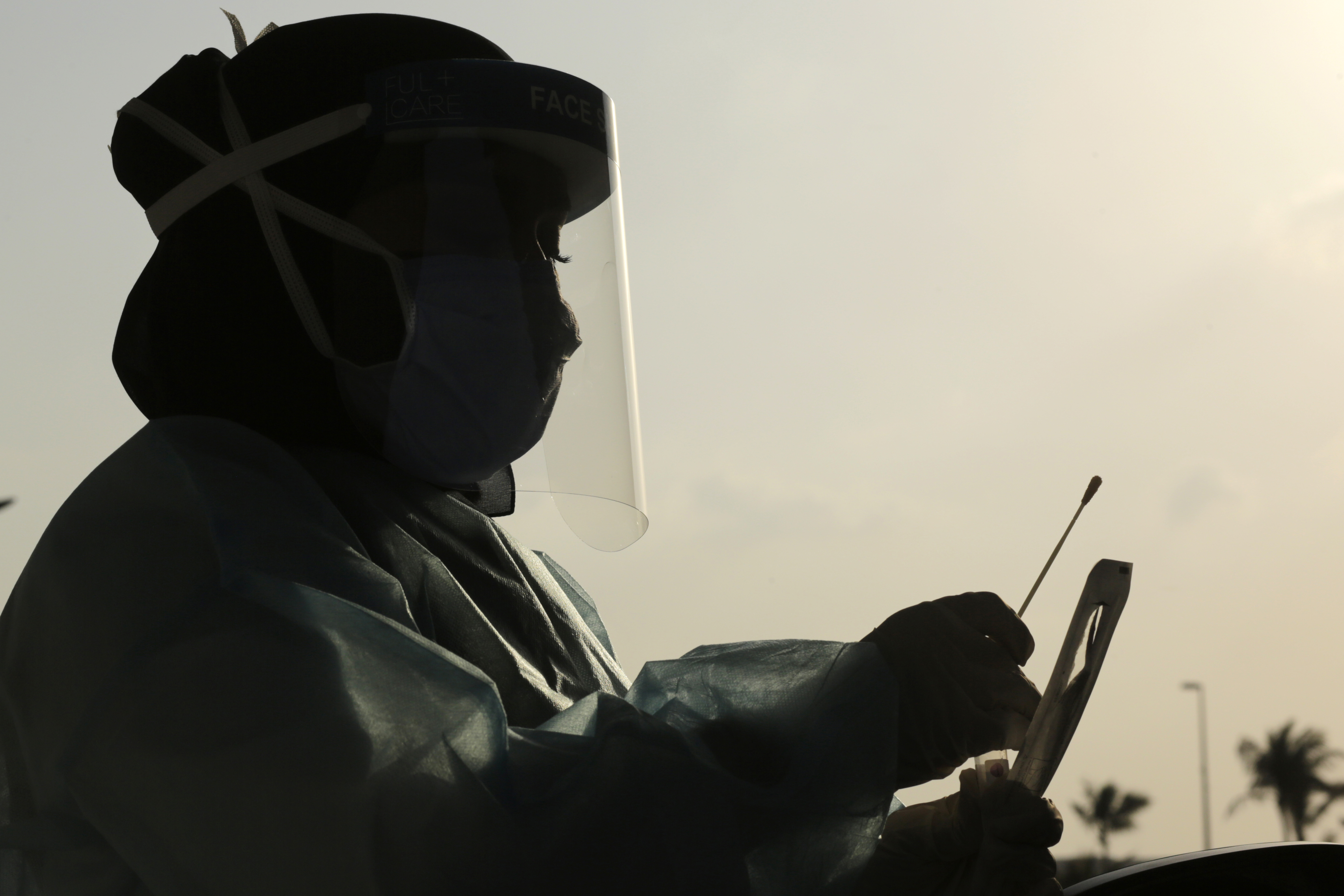 Virus Outbreak Gulf