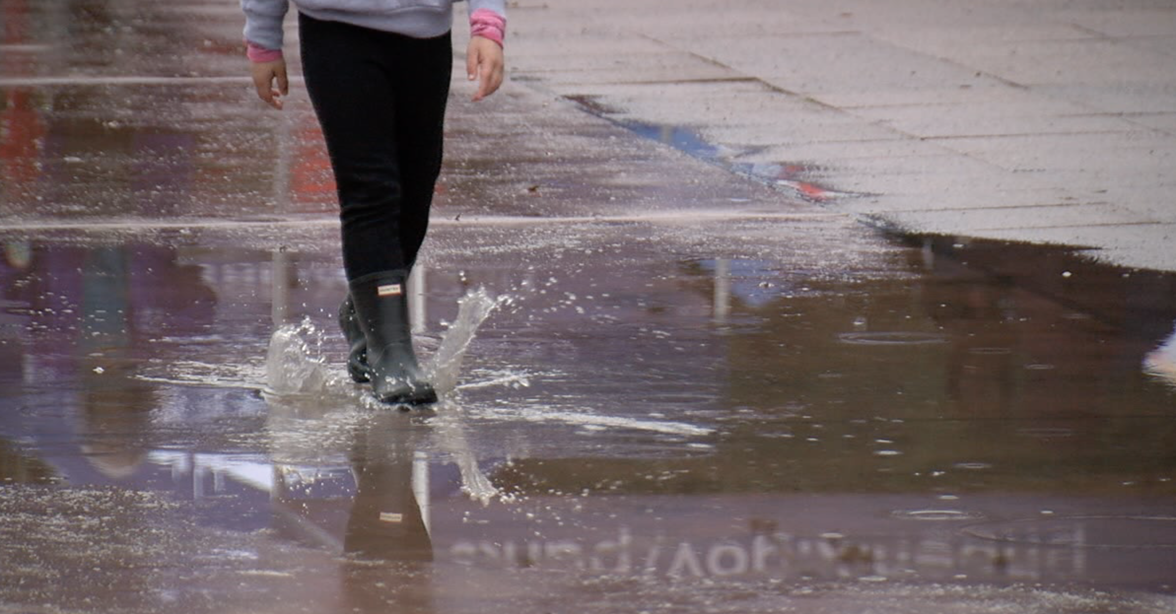 Phoenix rain 1-16-23