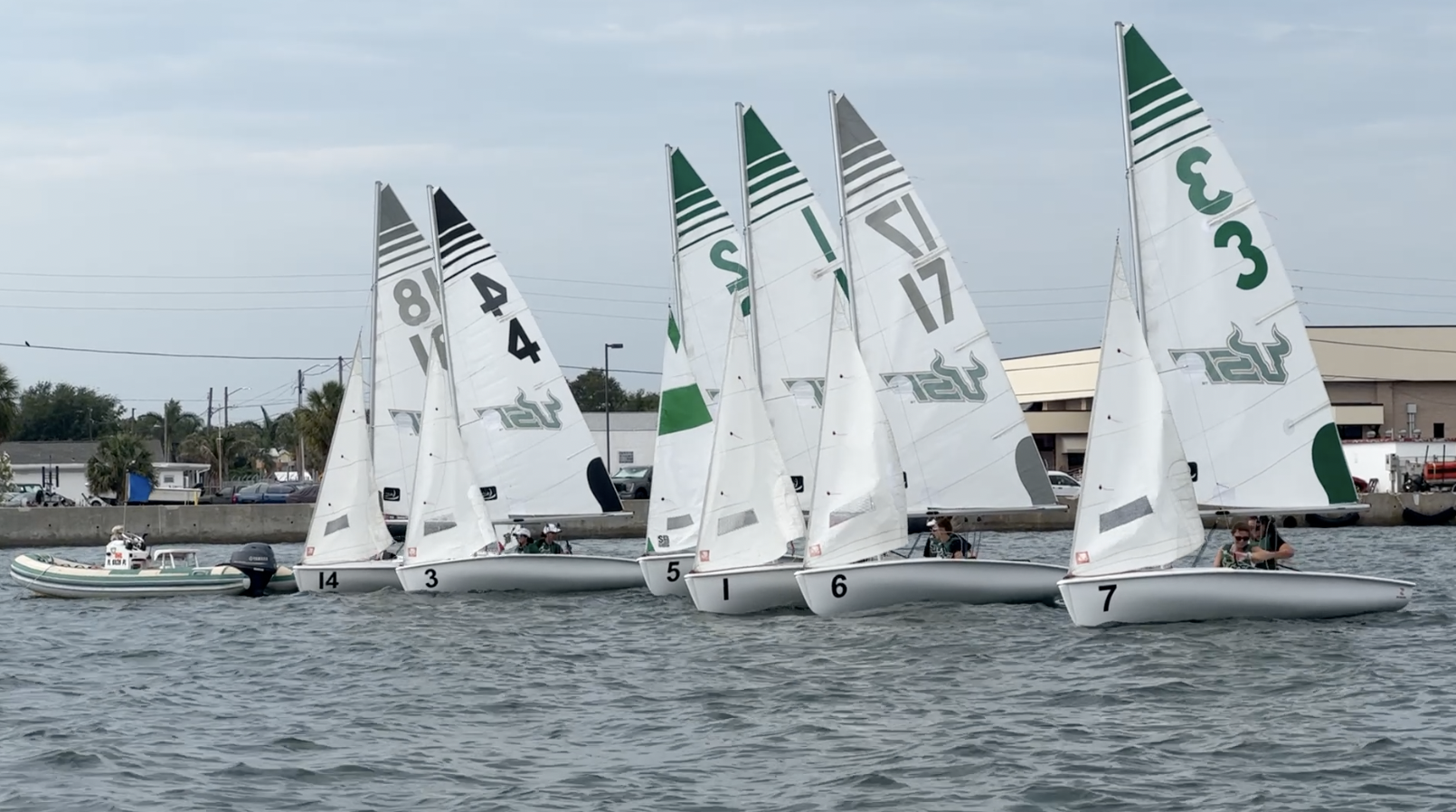 USF Sailing.png